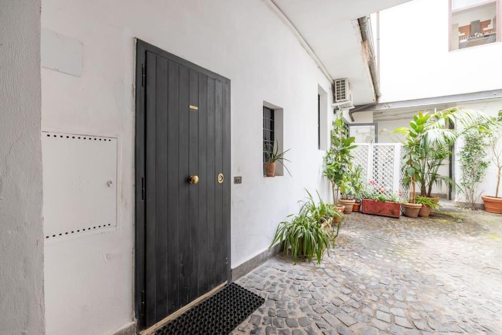 Colosseum Charming Apartment Рим Екстер'єр фото